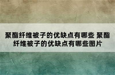 聚酯纤维被子的优缺点有哪些 聚酯纤维被子的优缺点有哪些图片